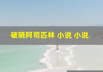 破晓阿司匹林 小说 小说